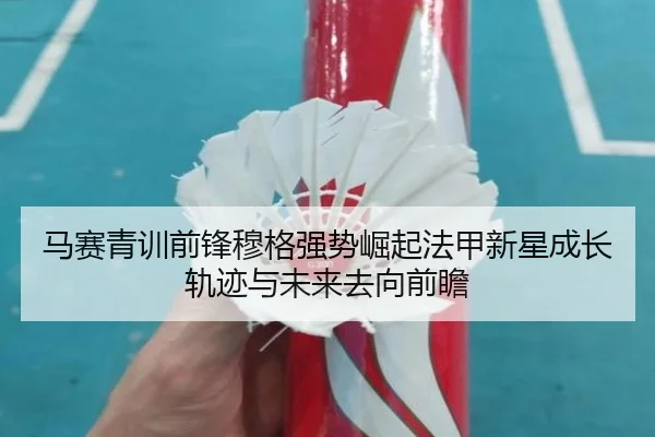 马赛青训前锋穆格强势崛起法甲新星成长轨迹与未来去向前瞻